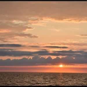 Meet your Posher, Samuel